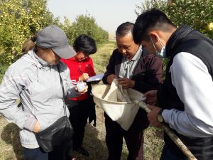 Фото: kazdornii.kz